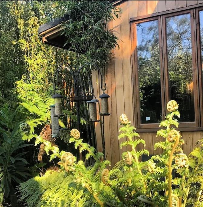 Jungle Cabin Martin Mill Exterior foto